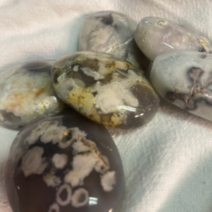 Black Flower Agate Palm stones